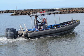 2009 290 EC World Cat